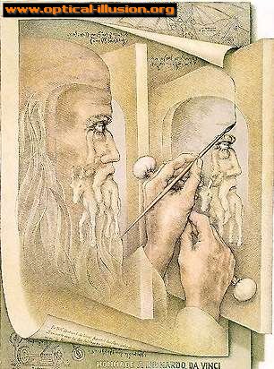 da vinci illusion