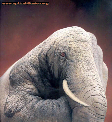 Is it a hand or an elephant?
