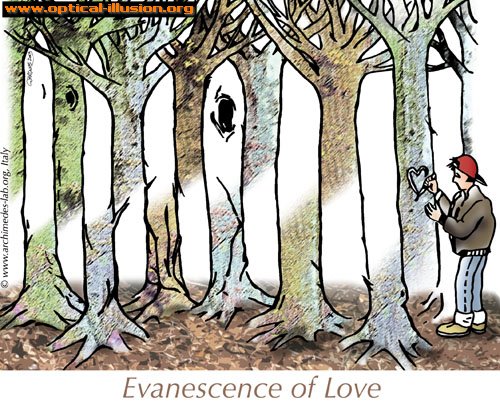 evanescence of love