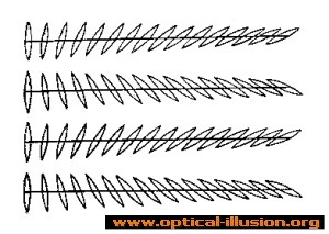 The lines are parallel to each other.