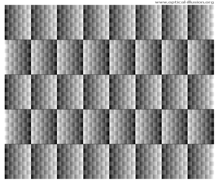 Horizontal lines are parallel to each other