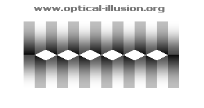 Do the white areas belong to bottom or top.