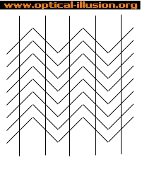 The lines are parallel to each other.
