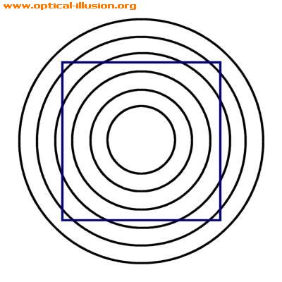 Square is perfect; the sides are not bent.