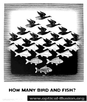 How many fish and how many birds can you count?