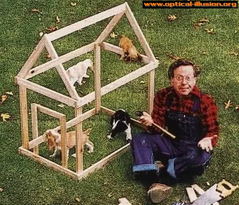 Impossible dog kennel.