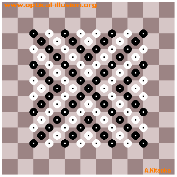 Squares in the middle appears to be deformed. (The image is Copyright A. Kitaoka)