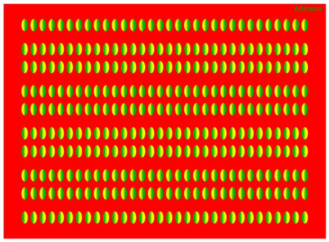 kitaoka illusion 13