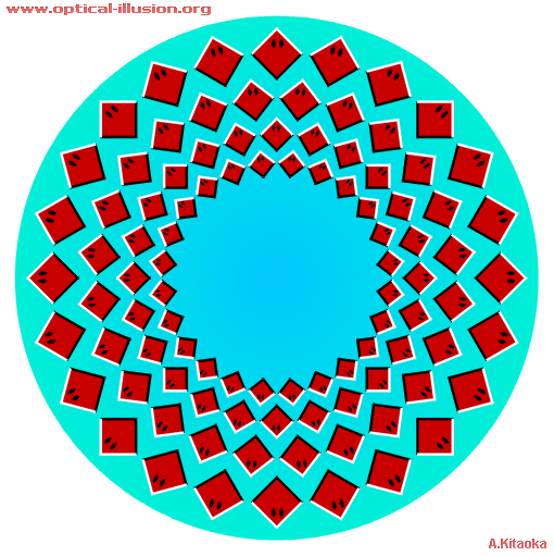 kitaoka illusion 14