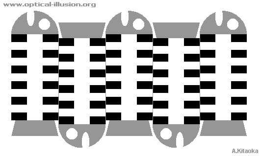 Vertical lines are straight and parellel to each other. (The image is Copyright A. Kitaoka)