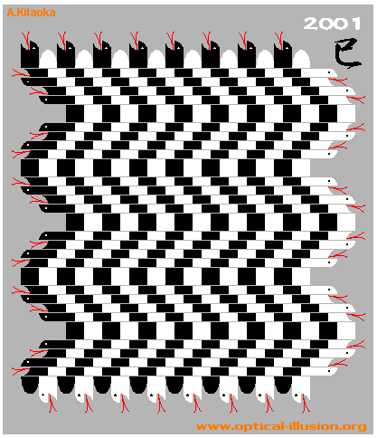 Horizontal lines are straight and parallel to each other. (The image is Copyright A. Kitaoka)