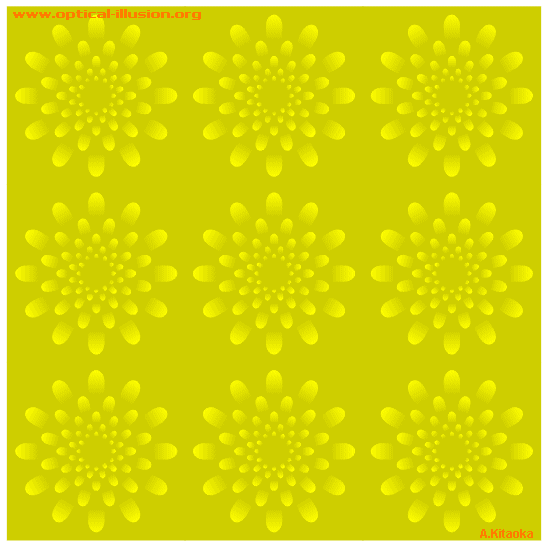 kitaoka illusion 18