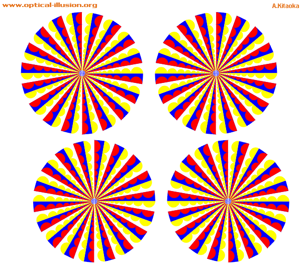 kitaoka illusion 20