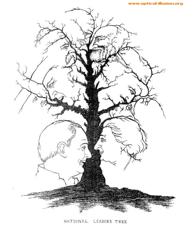 How many faces do you see?