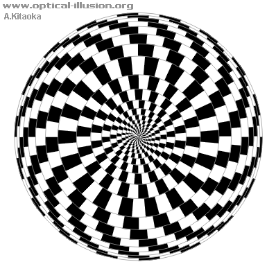 Rotating spiral (The image is Copyright A. Kitaoka)