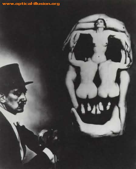 salvador dali pic