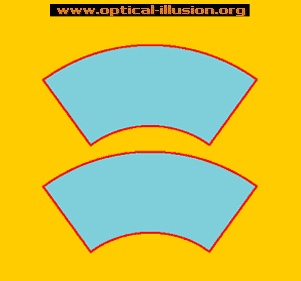 shape illusions