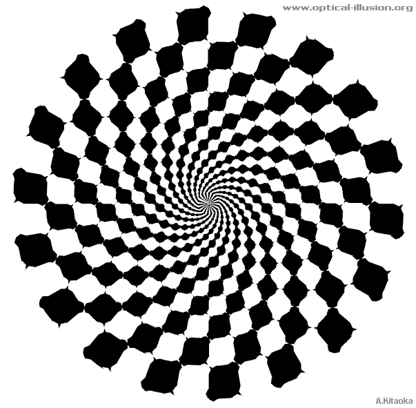 They are not spiralling cirles. (The image is Copyright A. Kitaoka)