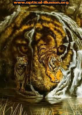 tiger illusion