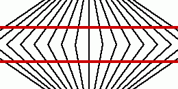Do the horizontal lines look curved?