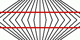 wundt illusion 03