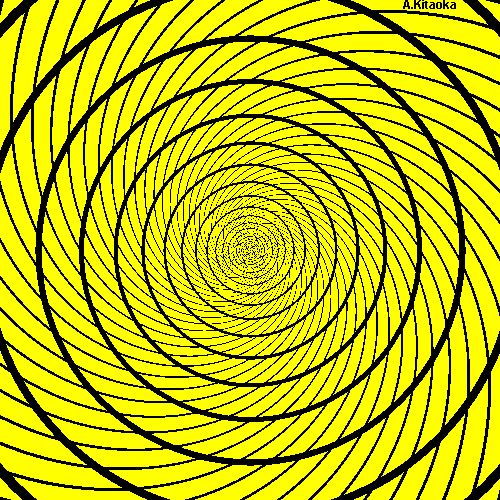 Yellow spiral. (The image is Copyright A. Kitaoka)