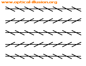 Horizontal lines are parallel to each other