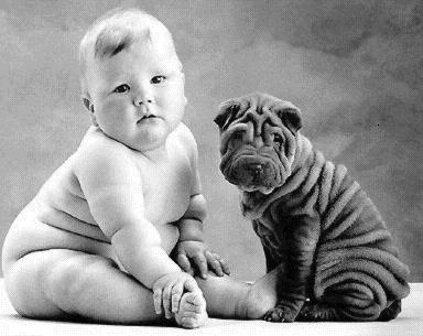 Bebe gordo