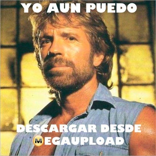 Chuck Norris y Megaupload