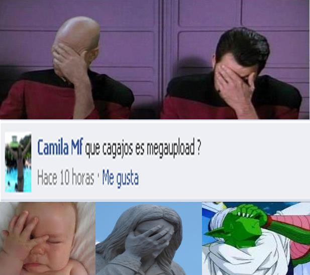 Que es Megaupload