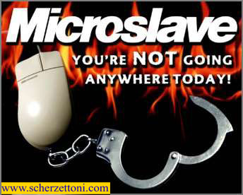 Microslave