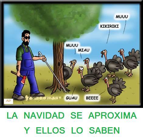 La Navidad y los pavos