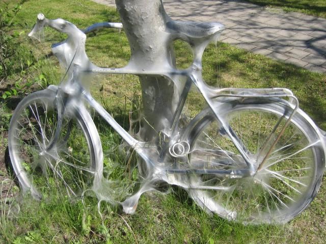 Bici en el parque