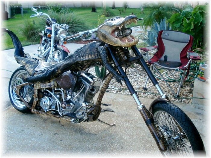 Moto custom