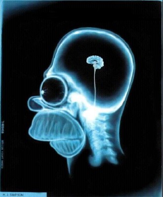 Cerebro de Homer Simpson