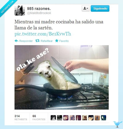 Cocinando ha salido una llama