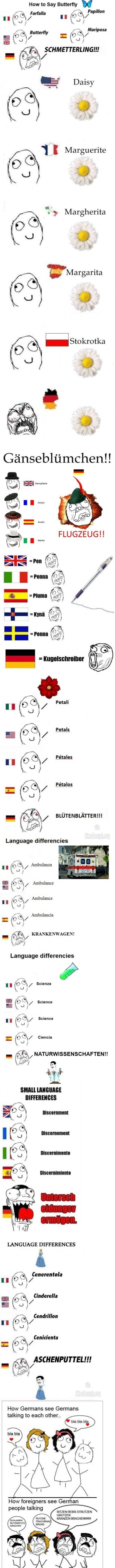 El idioma aleman