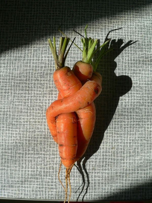 Menage a trois