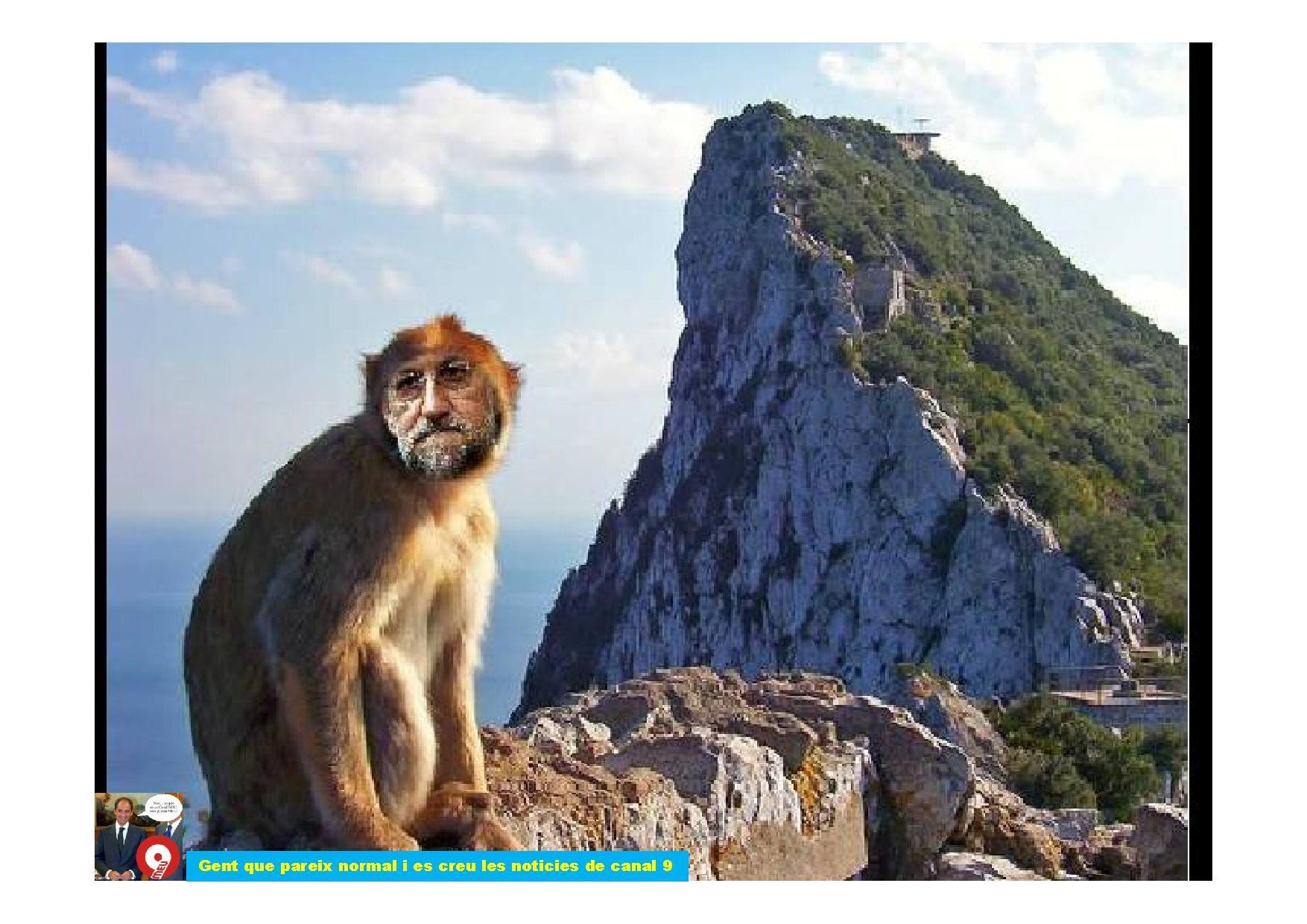 Mariano el mono de Gibraltar