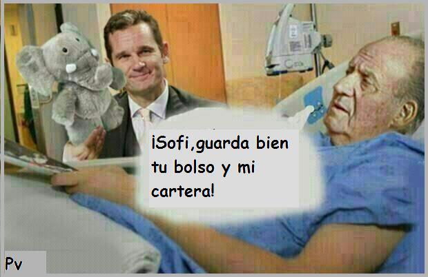 Sofi guarda bien las cosas