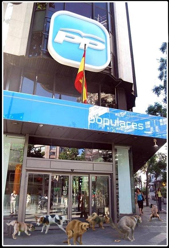 El PP y los perros