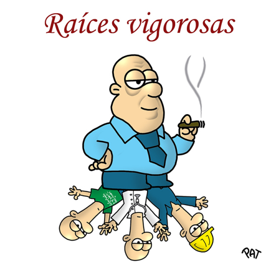 raices vigorosas